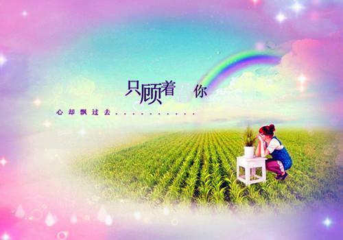 (番外)+(全文)月影常寒露华湿：全本+番外+后续小说免费下载阅读_(宋云延沈舒艺)月影常寒露华湿：全本+番外+后续最新章节列表_笔趣阁（宋云延沈舒艺）