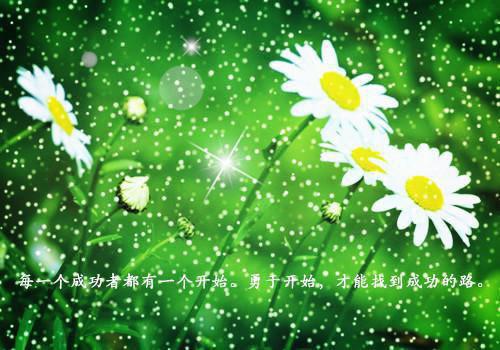 能让女孩子动情的话语