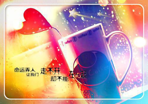 (番外)+(结局)重返人间后小叔火葬场了小说：结局+番外（姜黎陆瑾臣）全文免费阅读无弹窗大结局_(重返人间后小叔火葬场了小说：结局+番外)最新章节列表_笔趣阁（姜黎陆瑾臣）