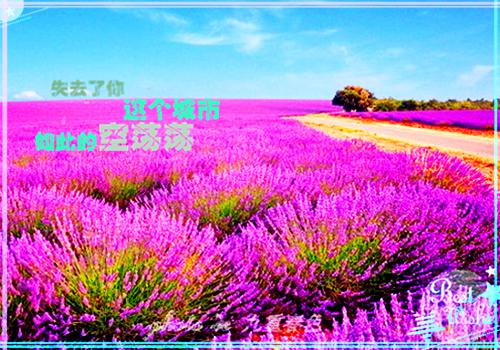 2025九年级学生家长评语（精选3篇）