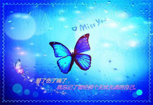 将风遗忘在角落：全文+后续（贺璟霄沈亦柠）完整全文在线阅读_将风遗忘在角落：全文+后续+大结局免费阅读全章节目录（贺璟霄沈亦柠）