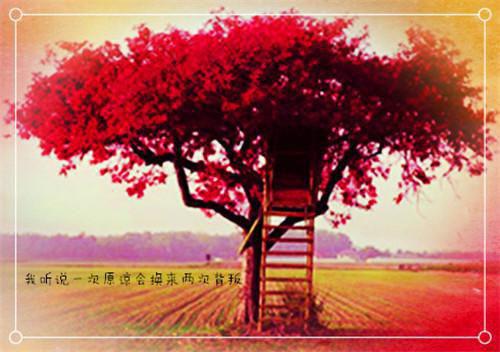 生日祝福语精选短信