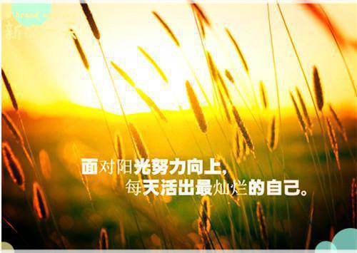 重回七零，我踹了军花一心高考/重回七零，我踹了老婆一心高考：结局+番外(苏景辰沈雪)全文苏景辰沈雪阅读无弹窗结局_苏景辰沈雪+结局最新章节列表_笔趣阁（重回七零，我踹了军花一心高考/重回七零，我踹了老婆一心高考：结局+番外）