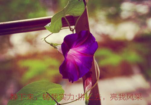 佚名的小说旧爱故梦佚名 著沈幼玲池墨全文阅读