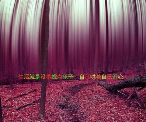 单身高冷个性签名男2023最新的 单身男生版高冷孤独签名