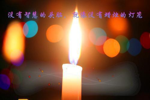 舔你时不理，再纠缠大嘴巴扇你金金桥小说全文免费阅读
