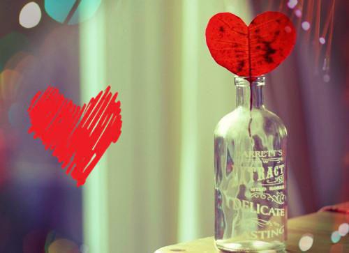 姜青黎靳寒夜：结局+番外全文免费阅读无弹窗大结局_姜青黎靳寒夜(姜青黎靳寒夜：结局+番外)最新章节列表笔趣阁（姜青黎靳寒夜：结局+番外）