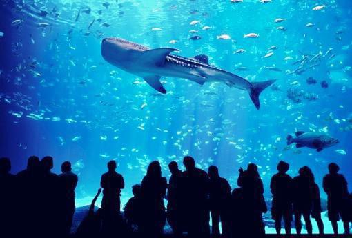 武烟月徐舜燚：结局+番外（武烟月徐舜燚）全文免费阅读无弹窗大结局_(武烟月徐舜燚：结局+番外)最新章节列表_笔趣阁（武烟月徐舜燚）