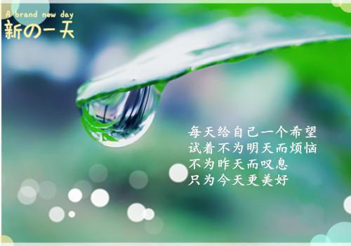 幼儿园中班成绩单经典评语