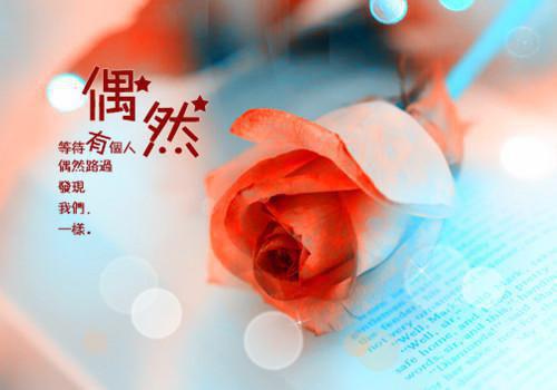 等待君归的爱情