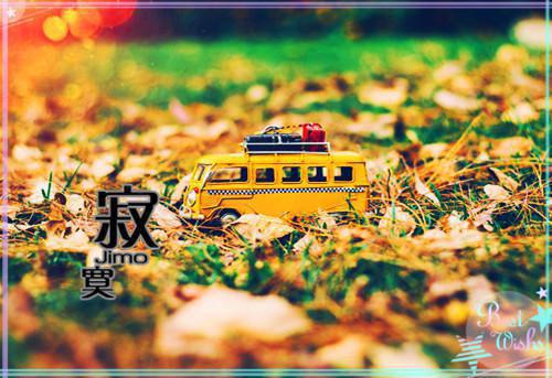 (番外)+(全文)路遥星亦迟 全文+后续（常梨厉晏舟）全文免费阅读无弹窗大结局_路遥星亦迟 全文+后续最新章节列表_笔趣阁（路遥星亦迟 全文+后续）