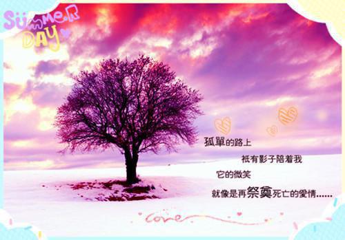 高二家长评语和期望（精选7篇）