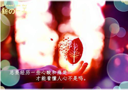 幼儿园大班期末综合评语