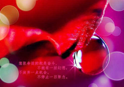有什么好看经典的书推荐