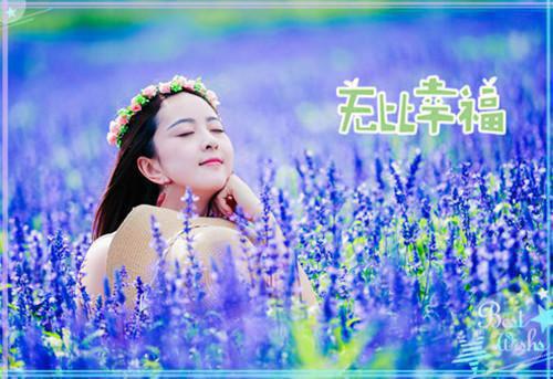 崔瑶音元安太子退婚娶孤女后悔疯了：+后续崔瑶音元安完结版全章节阅读