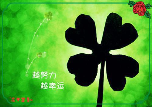 顾欢顾朝朝顾瑾全章节_我死后，家人终于来接我了小说阅读
