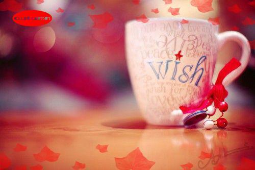 特工老婆变心后,我选择假死离开:全文+后续(周泽轩江雪曦许远舟)完结阅读无弹窗大结局_特工老婆变心后,我选择假死离开:全文+后续免费阅读最新章节列表_笔趣阁(周泽轩江雪曦许远舟)