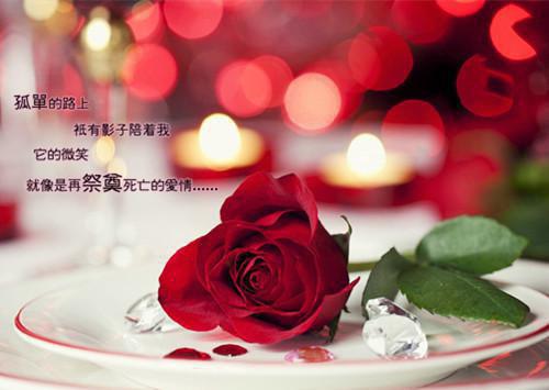 想复合的个性签名大全2023  那些分了还可以复合的情侣真幸运