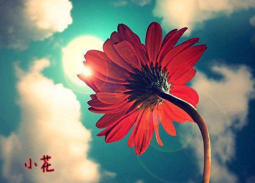 一年级下学期评语（通用32篇）