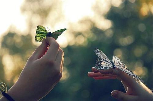 清风拂弱竹张若完本在线小说免费阅读