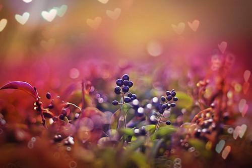 (番外)+(全文)情深不兽遥相望:结局+番外+完结小说免费下载阅读_(白琛泽孟瑶欢)情深不兽遥相望:结局+番外+完结最新章节列表_笔趣阁(白琛泽孟瑶欢)