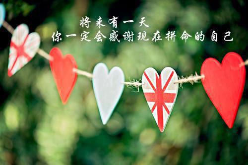 犹见青山不见君在线贺知砚完结版全章节阅读