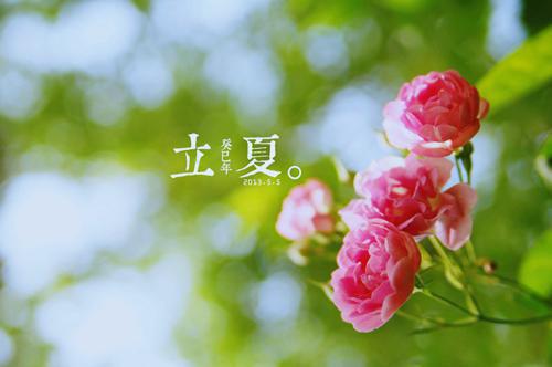 有哪些祝福长辈生日的话