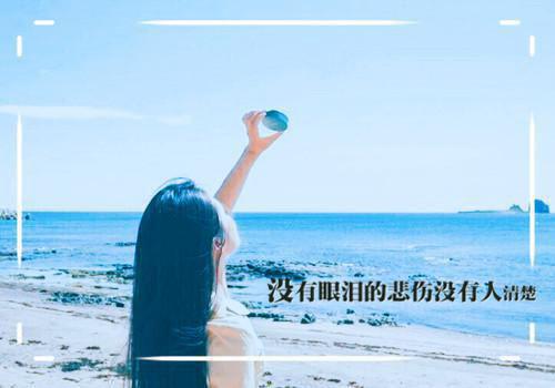 有新意的小学生评语（精选21篇）
