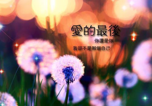 有关成功励志故事