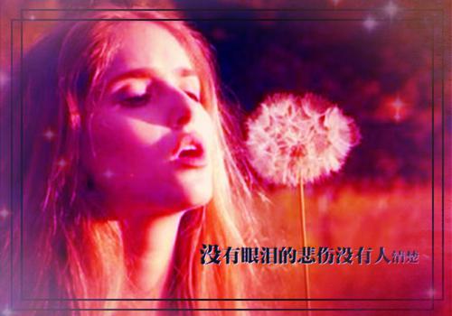 读成功的花有感作文500字