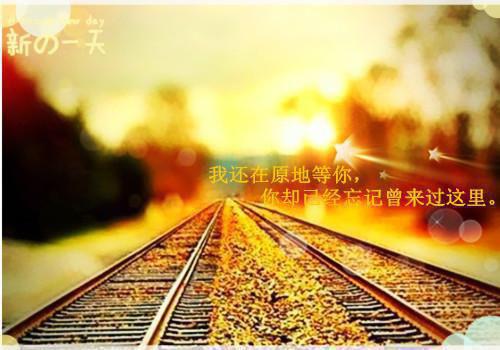 给客户发周末祝福语句
