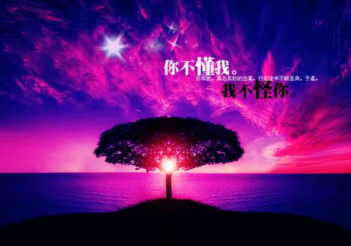 余生再也不相欠相思尽欢完本在线小说免费阅读