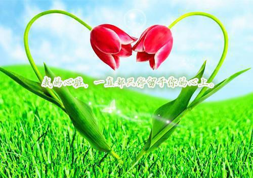 预产期老公陪黑皮资助生欣赏血月,我去父留子沈宴屿安雨薇小说_预产期老公陪黑皮资助生欣赏血月,我去父留子完结版阅读