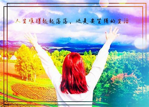 (番外)+(全文)我断情绝爱后，他们集体火葬场了全文+后续+结局（御风祝宛月）全文免费阅读无弹窗大结局_我断情绝爱后，他们集体火葬场了全文+后续+结局最新章节列表_笔趣阁（御风祝宛月）