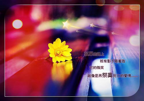 坠入花海迷失执念：结局+番外夏若兮完本在线小说免费阅读