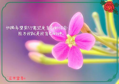 情深漫随流水终:结局+番外篇（陈昂李柚柠）全文免费阅读无弹窗大结局_情深漫随流水终:结局+番外篇最新章节列表_笔趣阁（情深漫随流水终:结局+番外篇）