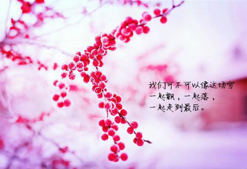 高中后进生学生期末评语