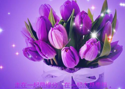 关于感恩的感人句子