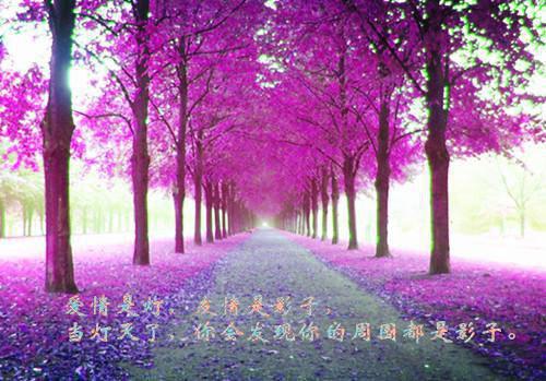 当年明月难寻:全文+后续(江曜迟浅)完整全文在线阅读_当年明月难寻:全文+后续+大结局免费阅读全章节目录(江曜迟浅)