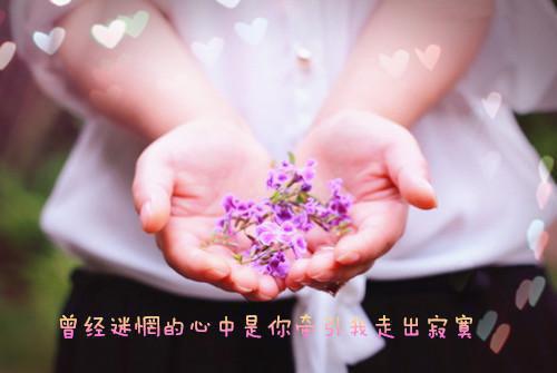 穿到古代农家：我靠做生意致富在线黎语小说全文免费阅读
