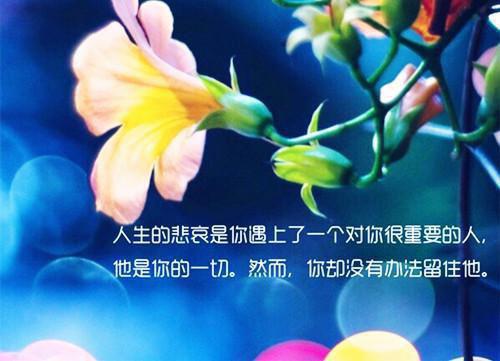 他的爱在除夕夜离别：全文+后续（沈延初霍晚棠）全文免费阅读无弹窗大结局_他的爱在除夕夜离别：全文+后续最新章节列表_笔趣阁（沈延初霍晚棠）