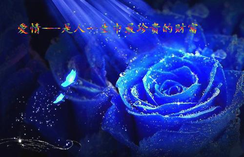 弟弟偷了奶奶的救命钱佚名小说全文免费阅读