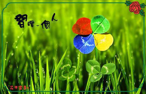 春色已去落花雨：全文+后续+番外（江心月霍司野）全文免费阅读无弹窗大结局_（春色已去落花雨：全文+后续+番外免费阅读）春色已去落花雨：全文+后续+番外免费阅读无弹窗最新章节列表_笔趣阁（江心月霍司野）