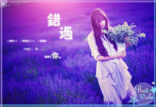 芦花深处无雁影：+后续+结局（姜城白晚清）全文免费阅读无弹窗大结局_(芦花深处无雁影：+后续+结局大结局)姜城白晚清最新章节