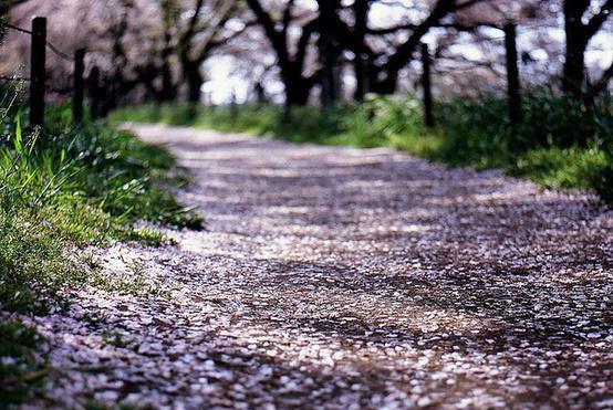写中秋节的诗句