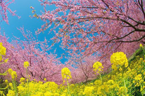 (番外)+(全文)网恋被甩后他成了全服第一大佬：结局+番外全文免费阅读无弹窗大结局_秦聿凛黎诗棠最新章节列表_笔趣阁秦聿凛黎诗棠