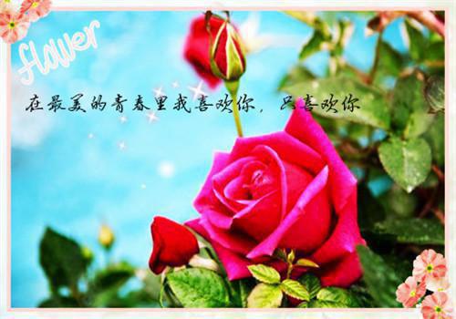 关于清新的古风句子2023