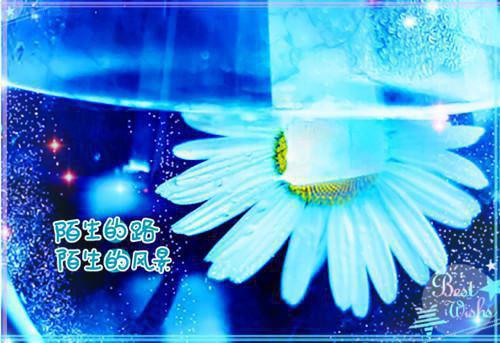 关于码头的诗歌描写码头的现代诗