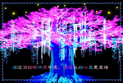 浮生若梦，不负韶华：结局+番外简云初小说全文免费阅读