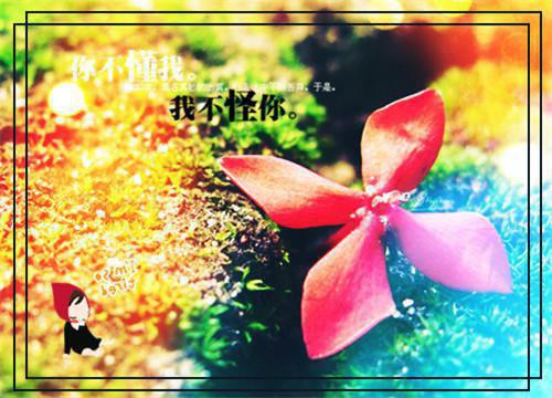 爱意封存：结局+番外（时安缘缘）全文免费阅读无弹窗大结局_(爱意封存：结局+番外)最新章节列表_笔趣阁（时安缘缘）